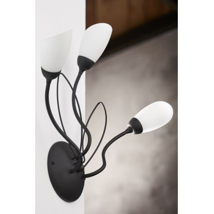 Jupiter 2059 - Sienas gaismeklis GLORIOSA 3xG9/14W/230V melns