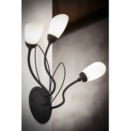 Jupiter 2059 - Sienas gaismeklis GLORIOSA 3xG9/14W/230V melns