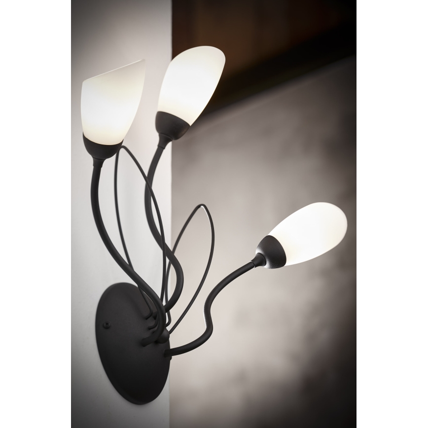 Jupiter 2059 - Sienas gaismeklis GLORIOSA 3xG9/14W/230V melns