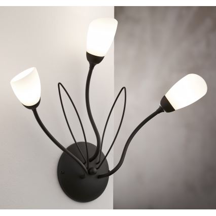 Jupiter 2059 - Sienas gaismeklis GLORIOSA 3xG9/14W/230V melns