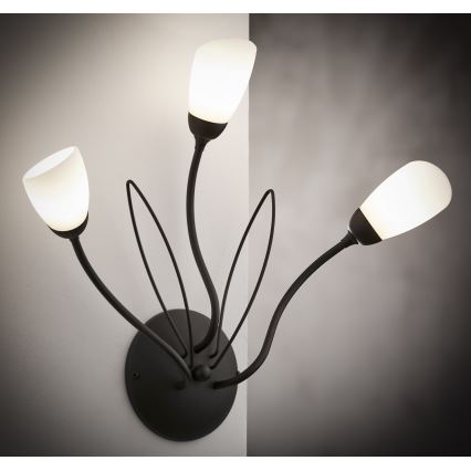 Jupiter 2059 - Sienas gaismeklis GLORIOSA 3xG9/14W/230V melns