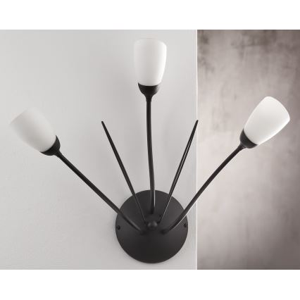 Jupiter 2059 - Sienas gaismeklis GLORIOSA 3xG9/14W/230V melns