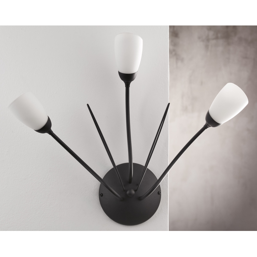 Jupiter 2059 - Sienas gaismeklis GLORIOSA 3xG9/14W/230V melns