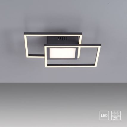 JUST LIGHT. 14144-18 - LED Griestu lampa ASMIN LED/26W/230V