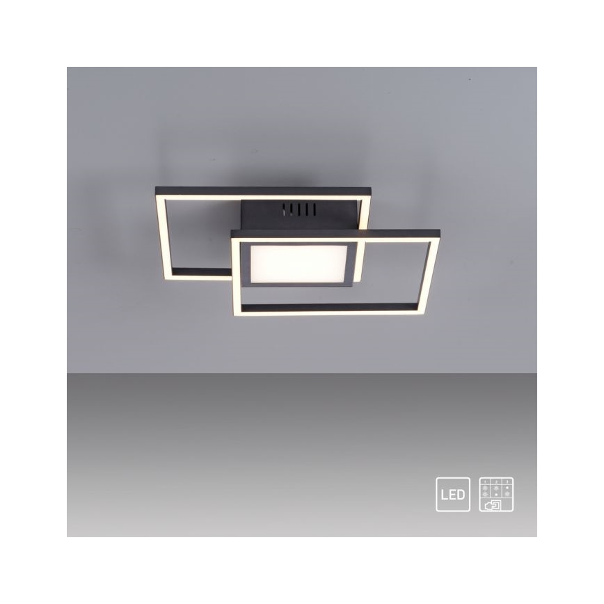 JUST LIGHT. 14144-18 - LED Griestu lampa ASMIN LED/26W/230V