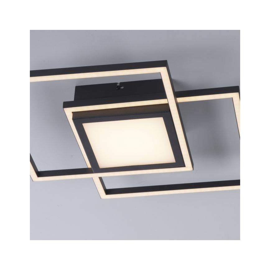 JUST LIGHT. 14144-18 - LED Griestu lampa ASMIN LED/26W/230V