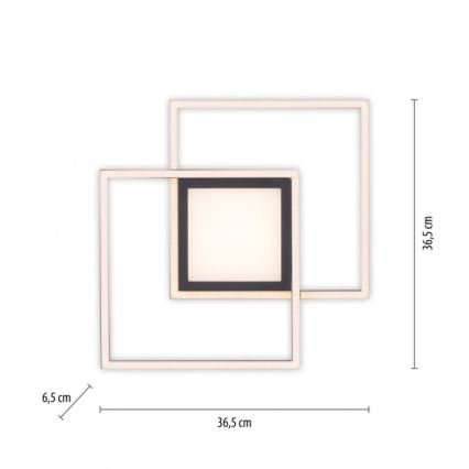 JUST LIGHT. 14144-18 - LED Griestu lampa ASMIN LED/26W/230V