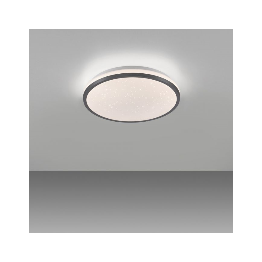 JUST LIGHT. 14293-18 - LED Aptumšojama griestu lampa KYLE LED/10W/230V d. 28 cm melna