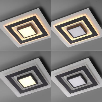 JUST LIGHT. 14439-21 - LED griestu gaismeklis CICHIO LED/18,5W/230V + LED/9W 40x40 cm melns