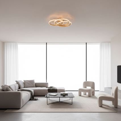 JUST LIGHT. 14734-60 - LED griestu gaismeklis GLITRA LED/37W/230V Ø 50 cm zeltains