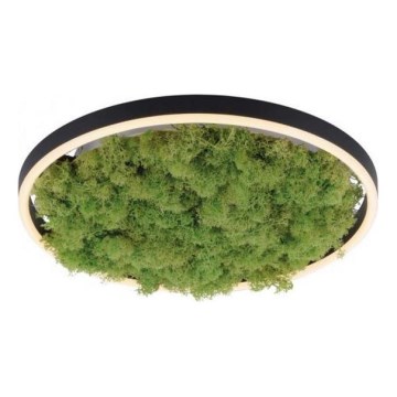 JUST LIGHT. 15391-66 - LED Aptumšojama griestu lampa GREEN RITU LED/20W/230V