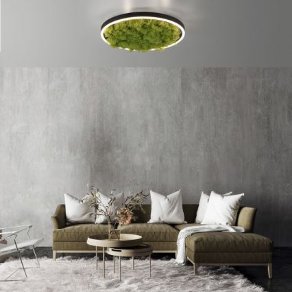 JUST LIGHT. 15391-66 - LED Aptumšojama griestu lampa GREEN RITU LED/20W/230V