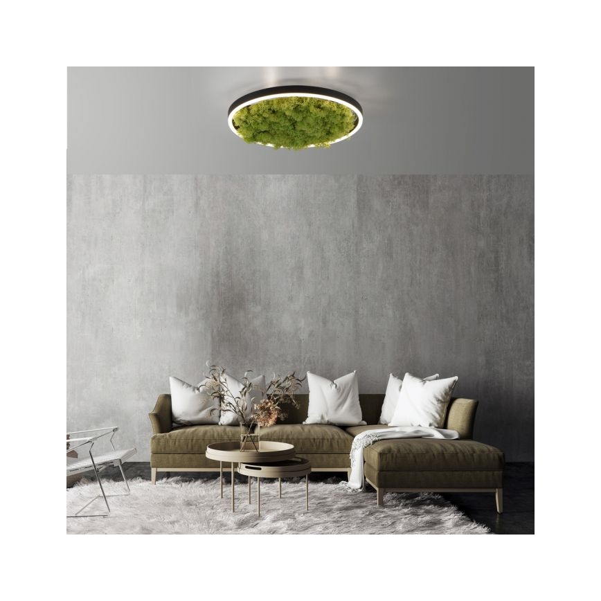 JUST LIGHT. 15391-66 - LED Aptumšojama griestu lampa GREEN RITU LED/20W/230V
