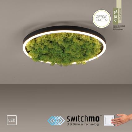 JUST LIGHT. 15391-66 - LED Aptumšojama griestu lampa GREEN RITU LED/20W/230V