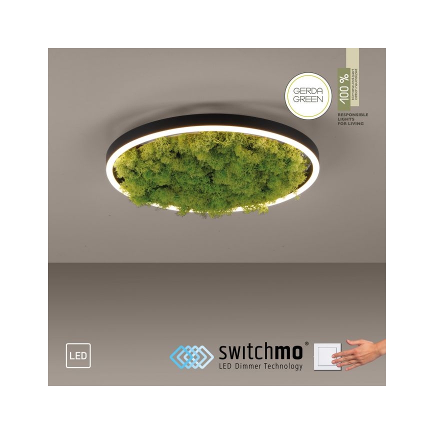JUST LIGHT. 15391-66 - LED Aptumšojama griestu lampa GREEN RITU LED/20W/230V