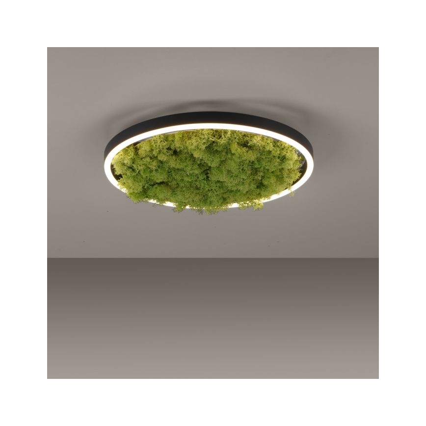 JUST LIGHT. 15391-66 - LED Aptumšojama griestu lampa GREEN RITU LED/20W/230V