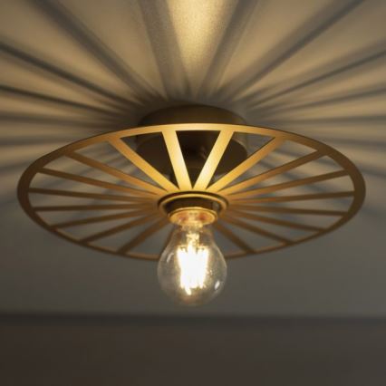 JUST LIGHT. 15635-60 - Griestu lampa SPIKE 1xE27/40W/230V d. 30 cm misiņš