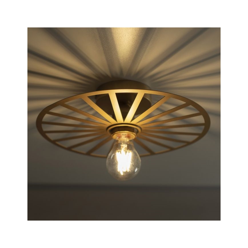 JUST LIGHT. 15635-60 - Griestu lampa SPIKE 1xE27/40W/230V d. 30 cm misiņš