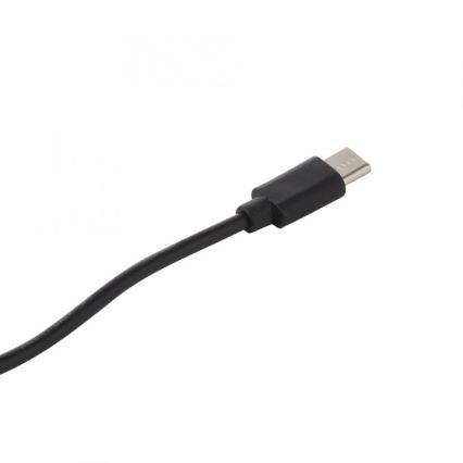 JUST LIGHT. 19260-18 - LED Aptumšojama skārienvadāma āra lampa ABERA LED/3W/3,7V 2000 mAh USB IP54 melna