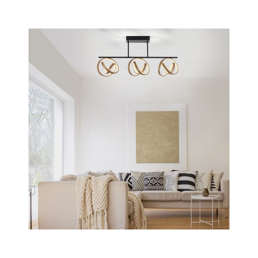 JUST LIGHT. 6245-18 - LED Aptumšojama virsapmetuma lustra LOOP 3xLED/11W/230V 2700-5000K + tālvadības pults