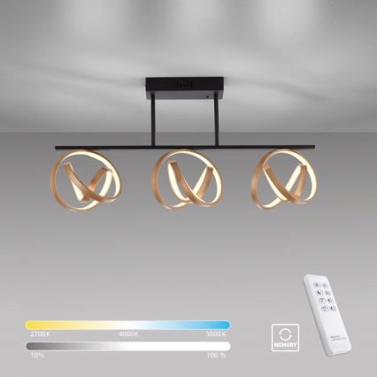 JUST LIGHT. 6245-18 - LED Aptumšojama virsapmetuma lustra LOOP 3xLED/11W/230V 2700-5000K + tālvadības pults