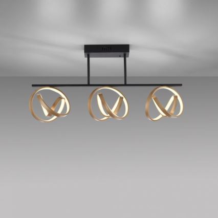 JUST LIGHT. 6245-18 - LED Aptumšojama virsapmetuma lustra LOOP 3xLED/11W/230V 2700-5000K + tālvadības pults