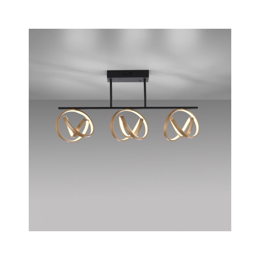 JUST LIGHT. 6245-18 - LED Aptumšojama virsapmetuma lustra LOOP 3xLED/11W/230V 2700-5000K + tālvadības pults