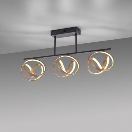 JUST LIGHT. 6245-18 - LED Aptumšojama virsapmetuma lustra LOOP 3xLED/11W/230V 2700-5000K + tālvadības pults
