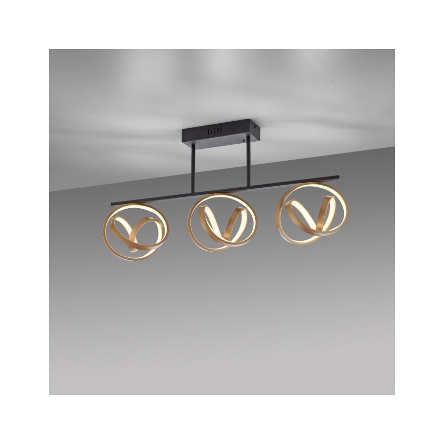 JUST LIGHT. 6245-18 - LED Aptumšojama virsapmetuma lustra LOOP 3xLED/11W/230V 2700-5000K + tālvadības pults