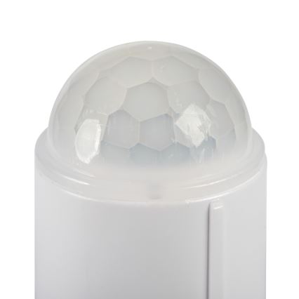 LED griestu lampa ar kustības un krēslas sensoru FOGLER LED/12W/230V pr. 28 cm