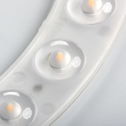 LED griestu lampa ar kustības un krēslas sensoru FOGLER LED/17W/230V Ø 33 cm