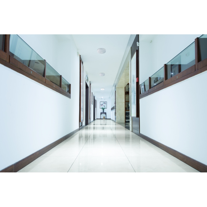 FOGLER LED griestu lampa ar kustības un krēslas sensoru, 24W, 230V, Ø 38 cm