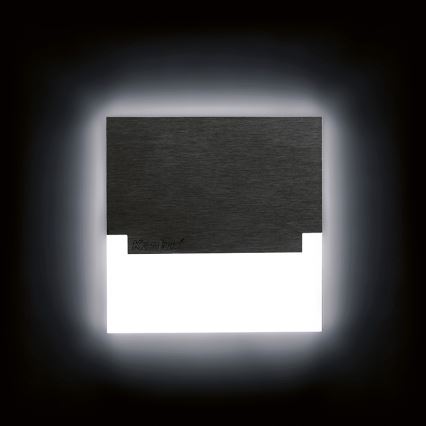 LED orientācijas gaismeklis LED/0,8W/12V