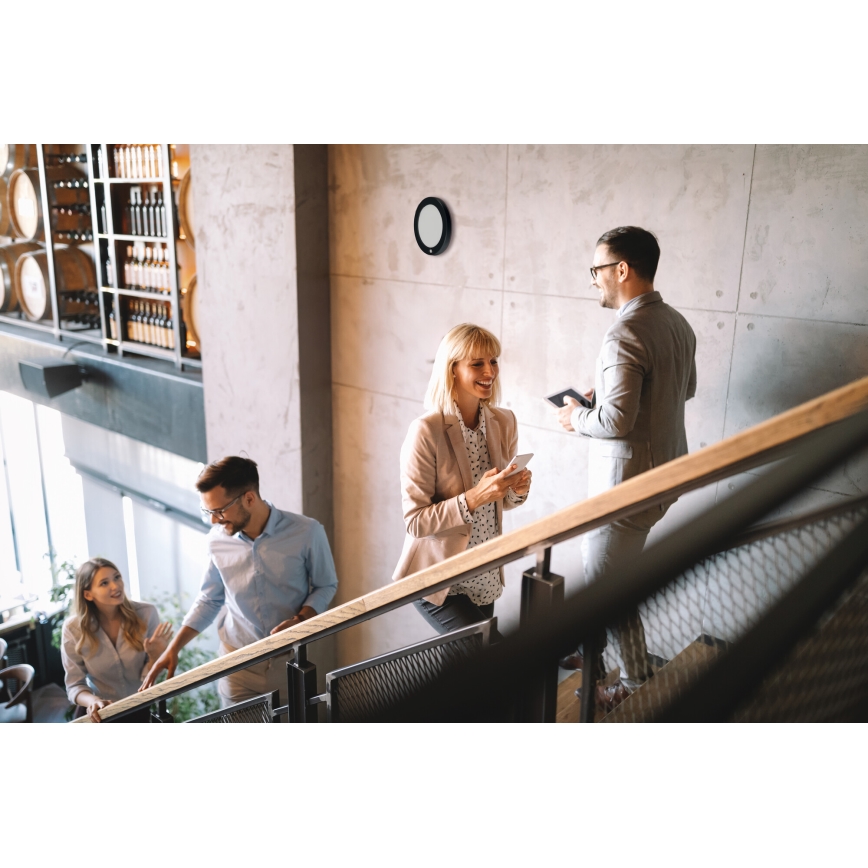 LED griestu/iebūvējamā lampa 2 vienā ERGA LED/17W/230V 3000/4000/6500K melna