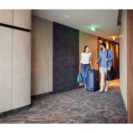 LED griestu/iebūvējams gaismeklis 2 vienā ERGA LED/17W/230V 3000/4000/6500K balts