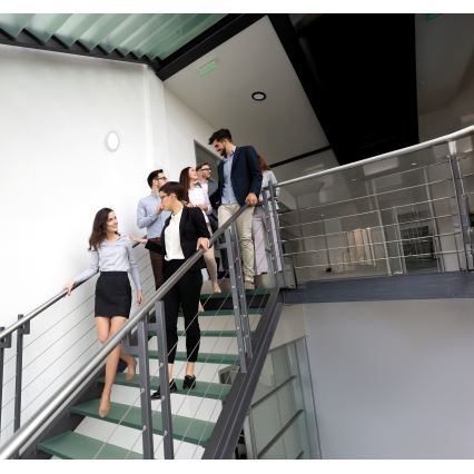 LED griestu/iebūvējams gaismeklis 2 vienā ERGA LED/17W/230V 3000/4000/6500K balts