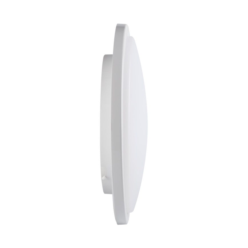 LED Vannas istabas griestu gaismeklis ORTE LED/24W/230V IP54