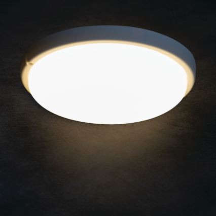 LED Vannas istabas griestu lampa TOLU LED/18W/230V 4000K IP54 balta