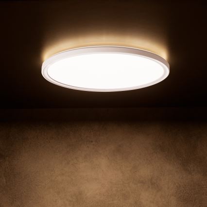 LED griestu lampa AZPO LED/18,5W/230V 3000/4000/6000K Ø 29 cm IP54 balta