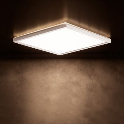 LED griestu lampa AZPO LED/12,3W/230V 3000/4000/6000K 22,5x22,5 cm IP54 balta
