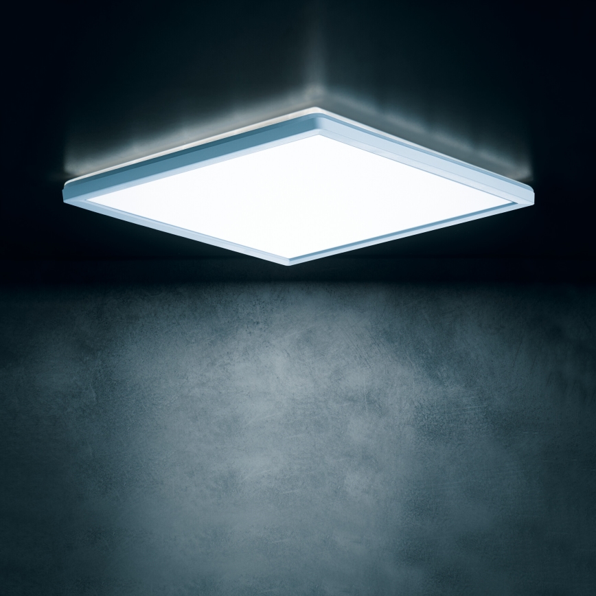 LED griestu lampa AZPO LED/12,3W/230V 3000/4000/6000K 22,5x22,5 cm IP54 balta
