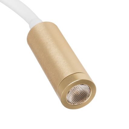 Elastīga LED galda lampa TONIL LED/3,3W/230V balta/zelta