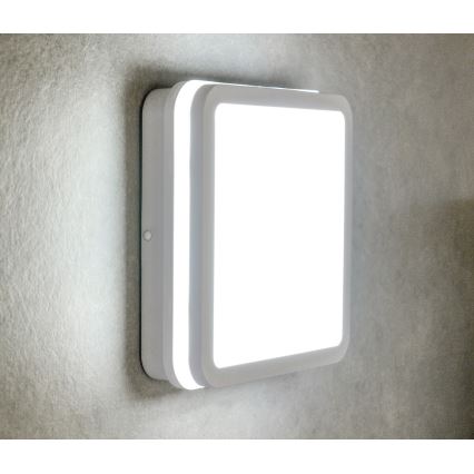 LED Āra gaismeklis BENO LED/24W/230V IP54 balts