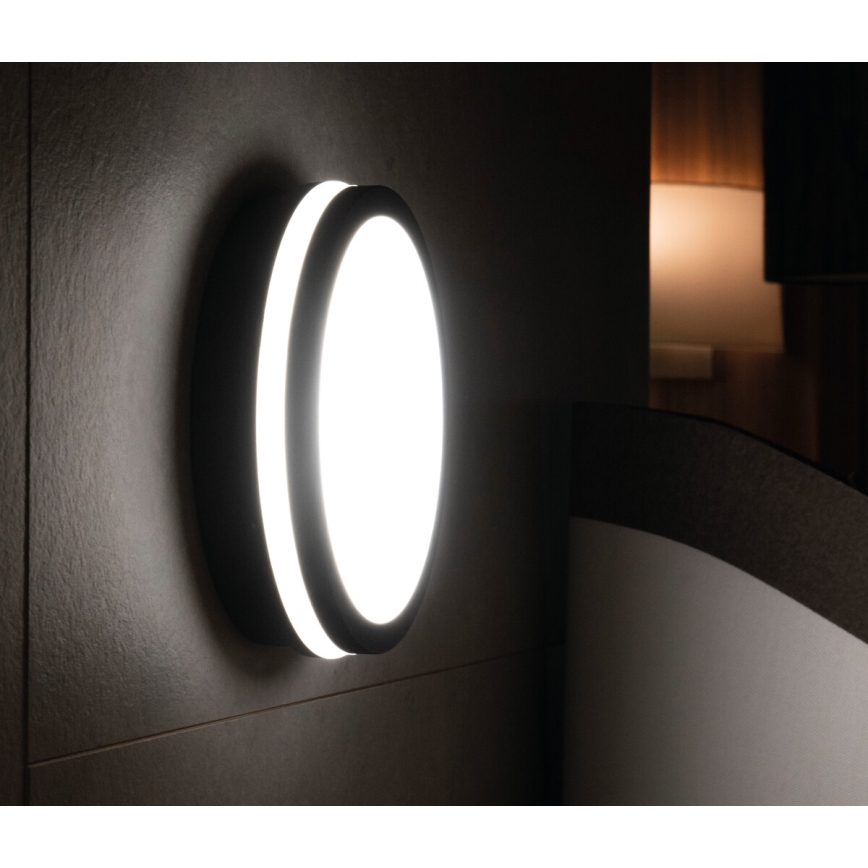 LED Āra griestu gaismeklis BENO LED/18W/230V 4000K antracīta IP54