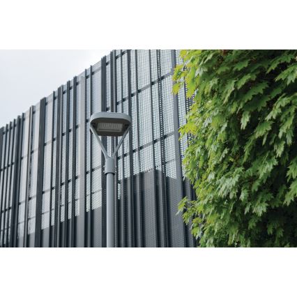 LED Ielas lampa PARCOLI LED/30/40/50W/230V 3000/4000/6500K IP66 pelēka