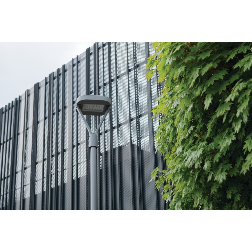 LED Ielas lampa PARCOLI LED/30/40/50W/230V 3000/4000/6500K IP66 pelēka