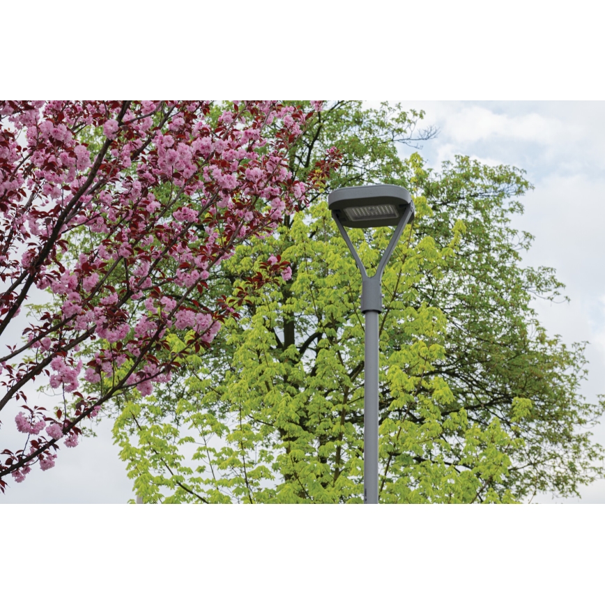 LED Ielas lampa PARCOLI LED/30/40/50W/230V 3000/4000/6500K IP66 pelēka