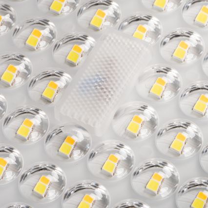 LED Ielas lampa PARCOLI LED/30/40/50W/230V 3000/4000/6500K IP66 pelēka