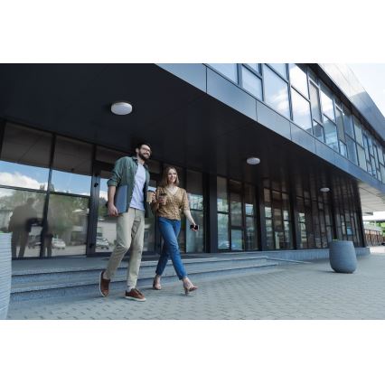 LED Lielas slodzes griestu lampa IPER LED/19W/230V IK10 IP65 apaļa balta