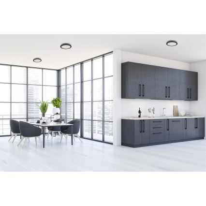 LED Āra griestu lampa BENO E LED/12W/230V 3000/4000/6500K d. 20 cm IP65 melna